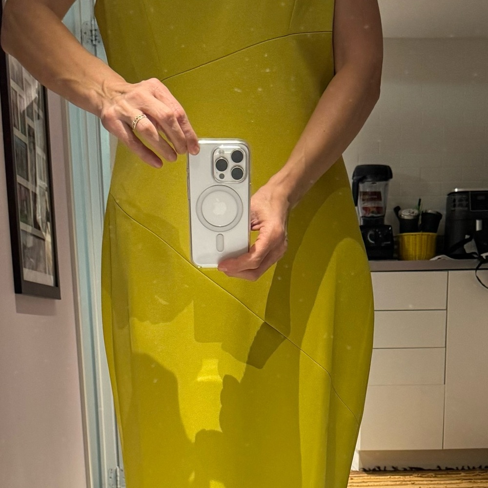 Ted Baker size 4 brand new dress never worn